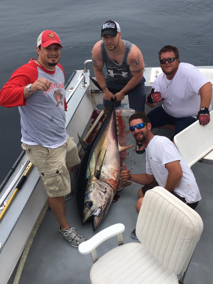 Live offshore fishing report 6-16