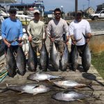 Offshore fishing report tuna