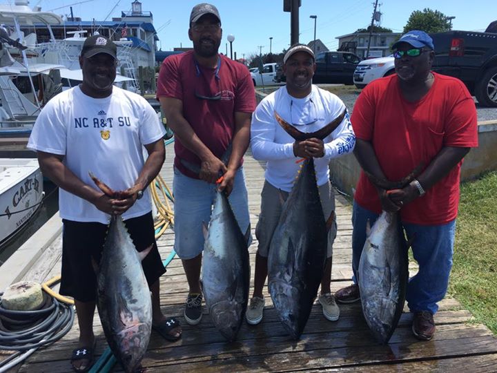 live offshore report bluefin