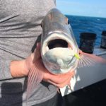 Islamorada February fishing report