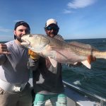 red drum released